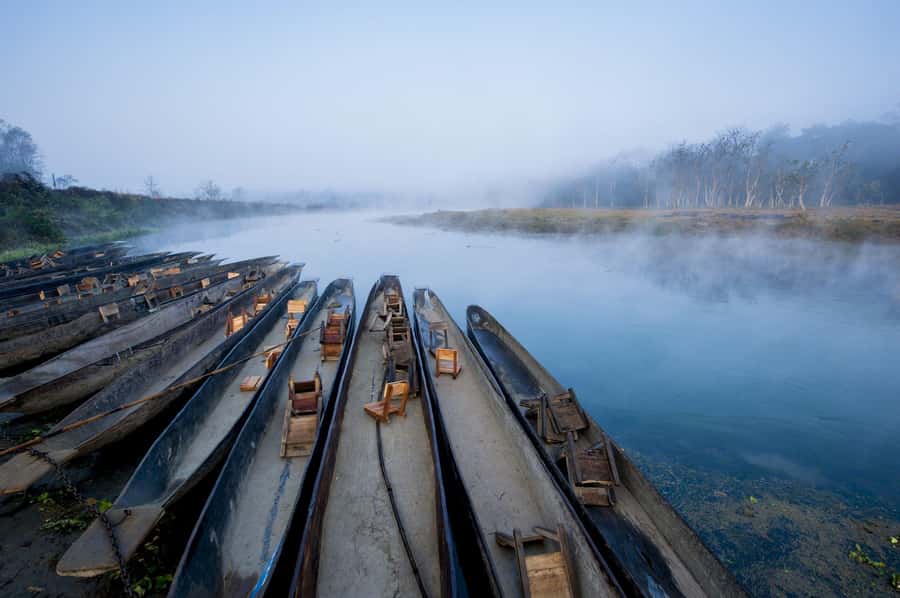Chitwan: Jungle Safari Tour with Canoe Ride in Forest River - The 1st day: arrival, lodge nature walk, and Tharu dance night