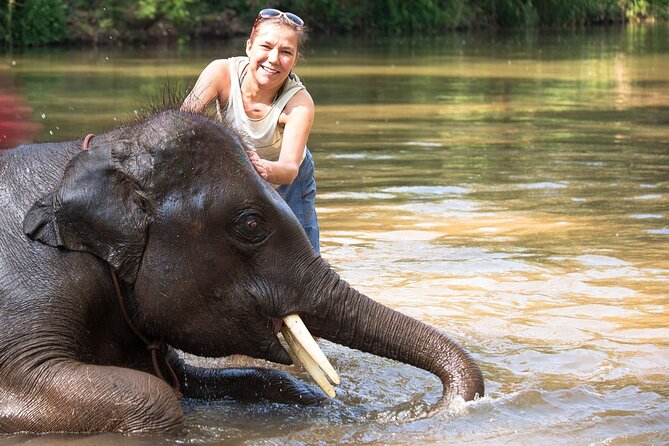 Chitwan National Park Tour - Getting From Kathmandu to Chitwan Without the Headache
