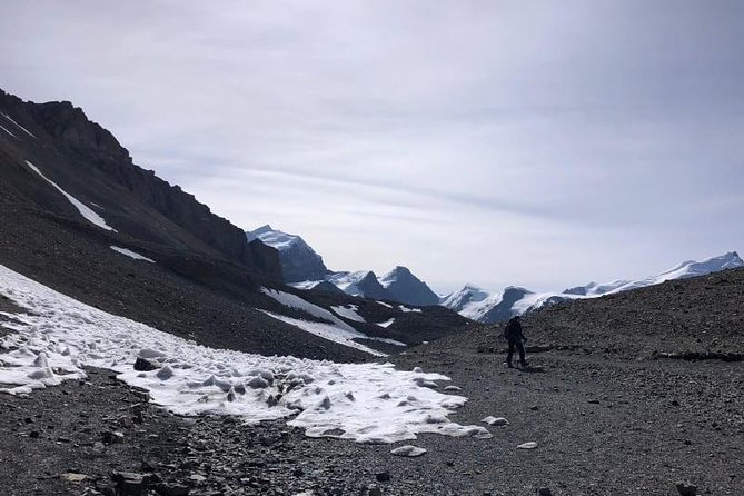 Conquer the Himalayas: The Ultimate 16-Day Annapurna Circuit Trek - Jagat, Dharapani, and Chame: bridges, birds, rivers, and the first real mountain feeling