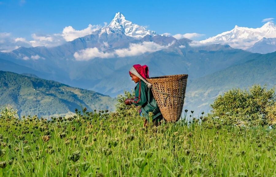 Day Hike at Annapurna Foothills - Key things that make this hike worthwhile
