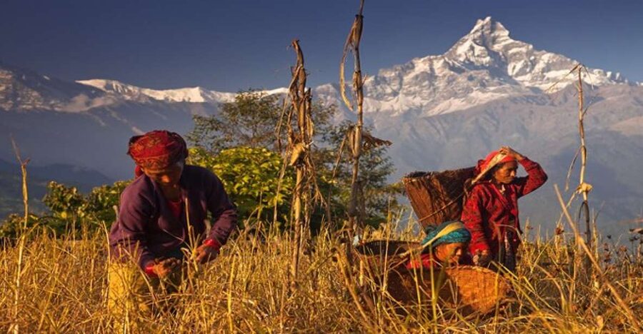 Day Hike at Annapurna Foothills - How hard is it, really? Pace, duration, and fitness fit