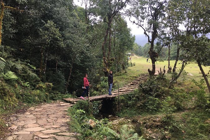 Day hiking to Dhampus - Astam Village - Key highlights at a glance