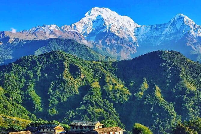 Easy Day Hiking to Australian Camp from Pokhara - Who should book this Australian Camp and Dhampus day hike