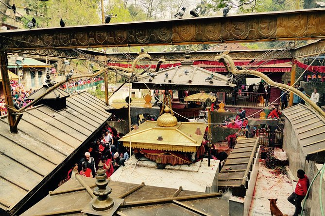 Escorted Full Day Pharping, Dakshinkali and Kirtipur Day Trip with Newari Lunch - Price and what $120 really covers for a private day