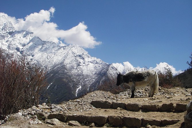Everest Base Camp - Cho La Pass - Gokyo Trek - The Big Picture Itinerary: Key Stops and What to Watch For