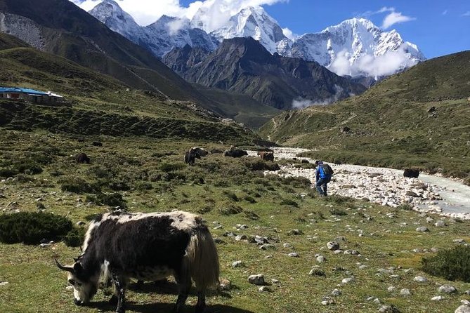 Everest Base Camp Helicopter Tour landing at Everest View Hotel - Everest View Hotel landing and optional breakfast: the part with breathing room