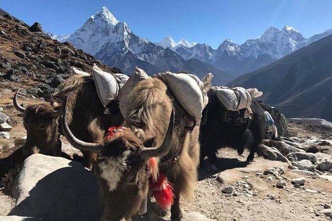 Everest Base Camp Trek 12 Days - Best Himalayan Adventure - The Lukla flight that sets the whole trek in motion