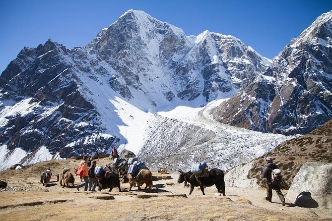 Everest Base Camp Trek with Helicopter Return to Lukla - 10 Days - Why the Helicopter Return Makes This Trek Feel Smarter