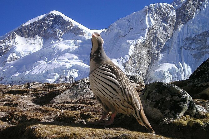 Everest Base Camp Trek with Kathmandu Valley Sightseeing Tour - What you pay for, what you bring, and why $1,500 can be either fair or scary