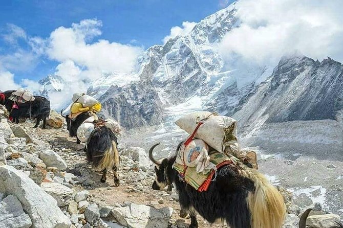 Everest Base Camp With Chola Pass via Gokyo Lakes - Kathmandu warm-up, not just a waiting room