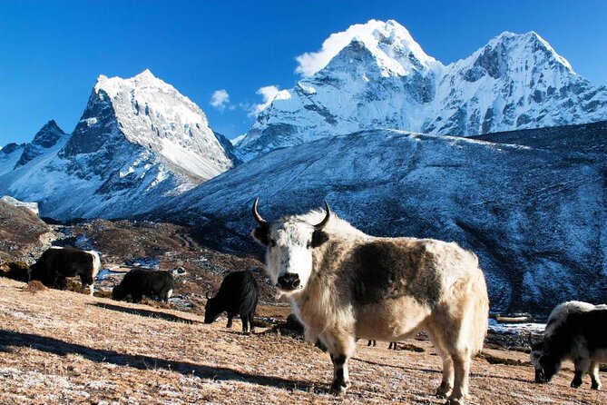 Everest Gokyo Valley Trek - 12 days - Key highlights you will actually feel on this trek