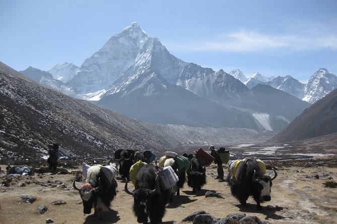 Everest Three (High) Passes Trekking - The trek rhythm: hiking days, trekking days, and how the route earns Everest views