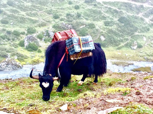 Everest View Trek - 7 Days - Guides and porters: the human side that makes the trip work