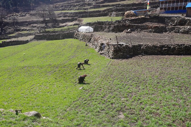 Experience the Thrill of a Lifetime:12-Days Manaslu Circuit trek - What to pack and how to handle altitude without overthinking