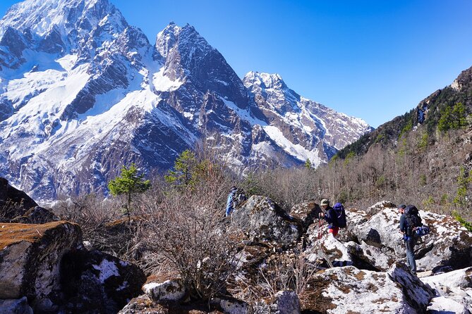 Experience the Thrill of a Lifetime:12-Days Manaslu Circuit trek - Wildlife and nature: what you might see, and what to expect