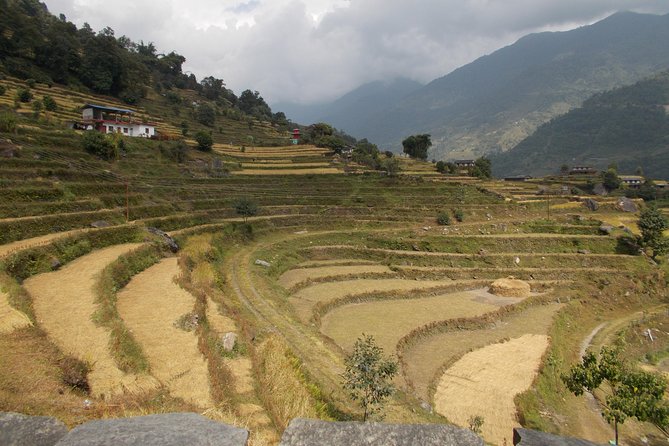 Experiential Career Break trip to Nepal for Gap year and Sabbatical travelers - Day 2: Boudha and Bajrayogini, then a hill viewpoint hike