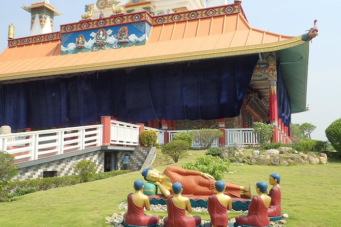 Experiential Tour of Nepal. - Chitwan Wildlife Safari: A Full Nature Day