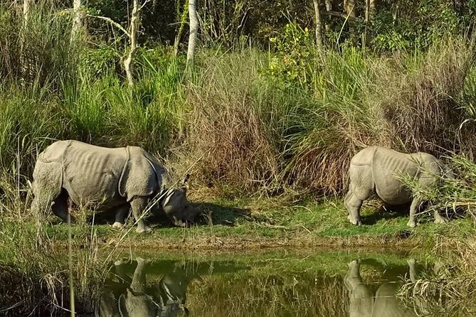 Explore Nepal In A Week - 7 Days - Price and Logistics: What $999 Buys in the Real World