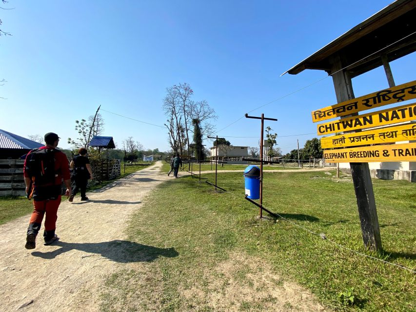 From Chitwan : Jeep Safari,Canoeing,Forest walk Day Tour - What to watch for from the jeep: crocodiles, water birds, and tiger odds