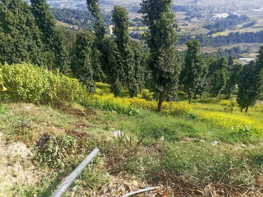 From Kathmandu: Everest View from Nagarkot & hike to Changu - Guides, languages, and why their tone matters