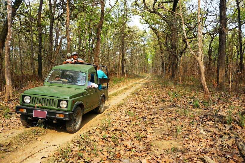 From Kathmandu/Pokhara: 2, 3, or 4-Day Chitwan Jungle Safari - Key things that make this Chitwan safari worth your time