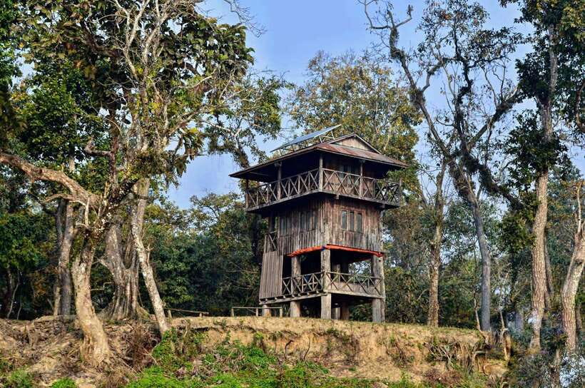 From Kathmandu/Pokhara: 2, 3, or 4-Day Chitwan Jungle Safari - Day by day: how the Chitwan rhythm actually plays out