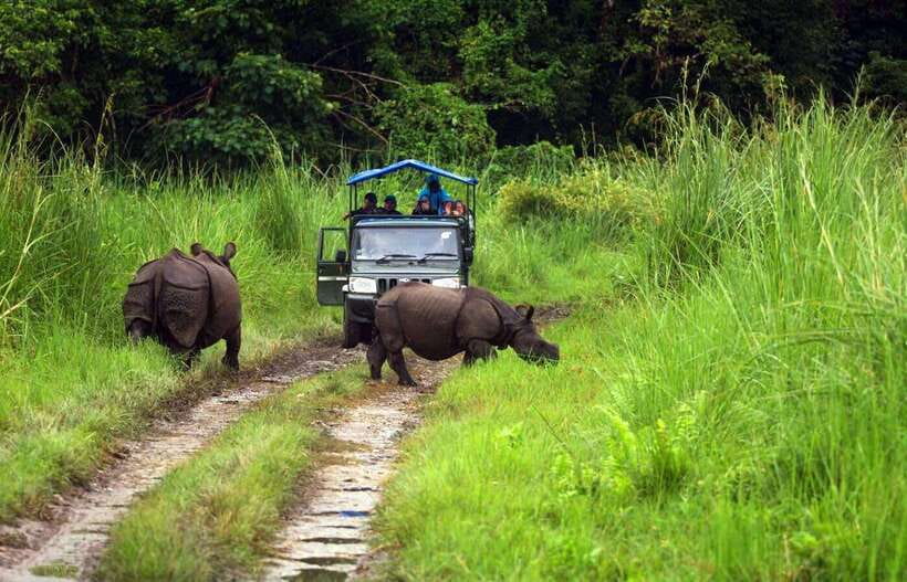 From Kathmandu/Pokhara: 2, 3, or 4-Day Chitwan Jungle Safari - Tharu sunset, the Rapti River, and why “culture plus nature” works