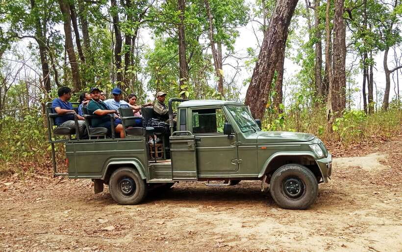 From Kathmandu/Pokhara: 2, 3, or 4-Day Chitwan Jungle Safari - Night at Hotel Rainforest vs. a jungle tower night