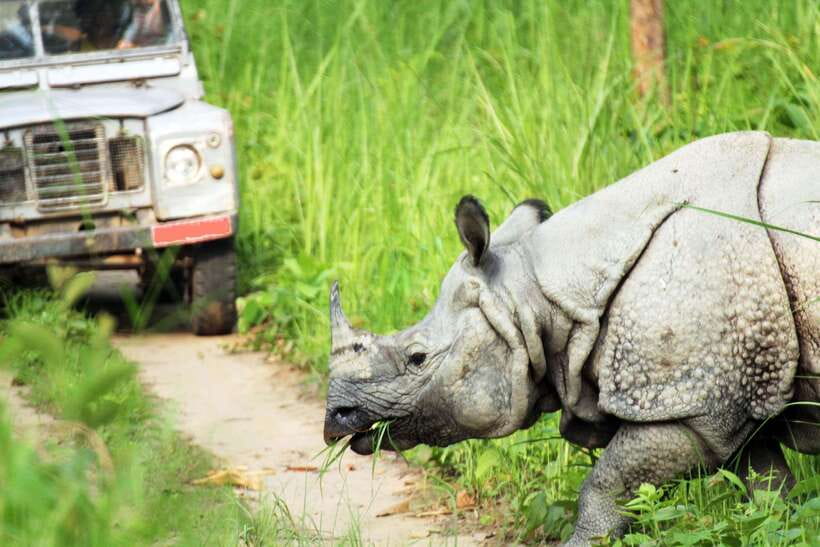 From Kathmandu/Pokhara: 2, 3, or 4-Day Chitwan Jungle Safari - What to bring (and what will make your life easier)