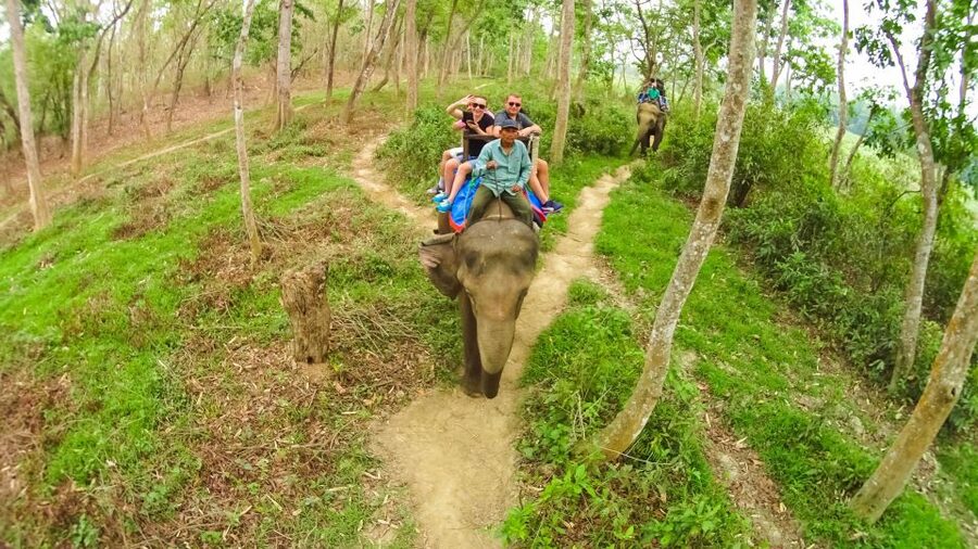 From Kathmandu/Pokhara: 3-Day All-Inclusive Chitwan Safari - Why Chitwan feels like a real Nepal break