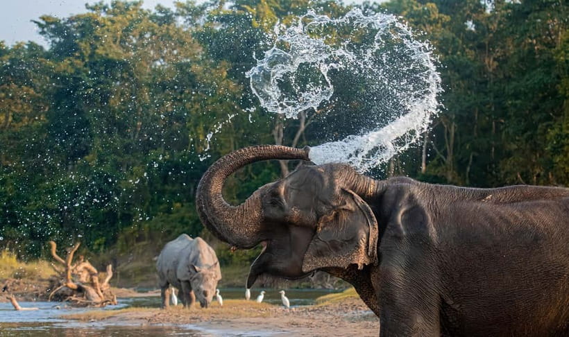 From Kathmandu/Pokhara: 3-Day Chitwan National Park Tour - Food, comfort, and what is actually included