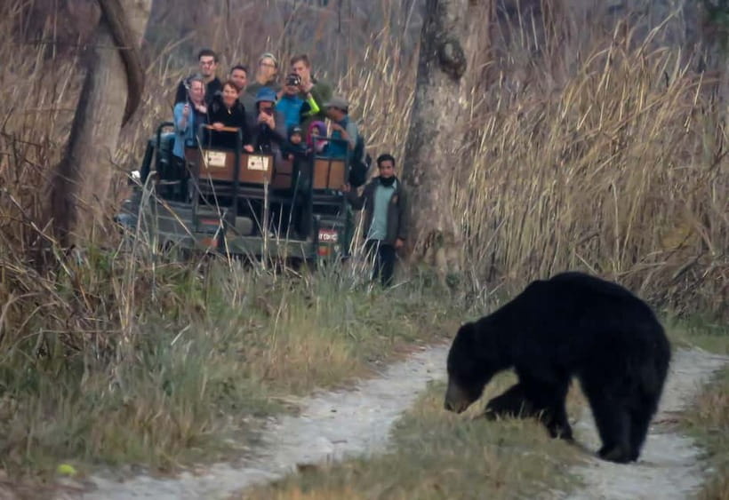 From Kathmandu/Pokhara: 3-Day Chitwan National Park Tour - Day 1: check-in, sunset point, and Tharu culture time
