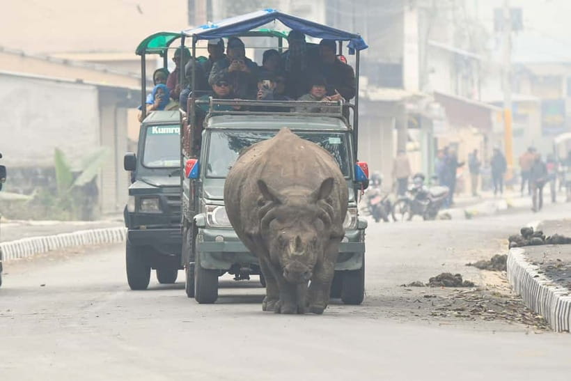 From Kathmandu/Pokhara: 3-Day Chitwan National Park Tour - Elephant Breeding Centre: baby elephants and a conservation-minded stop