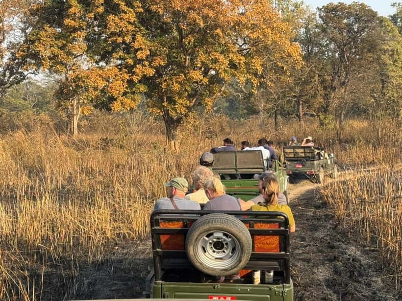 From Kathmandu/Pokhara: 3 Days All-Inclusive Chitwan Safari - Price and Logistics: Does $157 Feel Like Real Value?