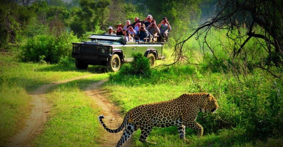 From Kathmandu/Pokhara: Private 3-Day Chitwan Safari Tour - What the 3-day plan gets right: mix of safari, river calm, and culture