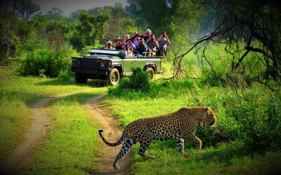 From Kathmandu/Pokhara: Private 3-Day Chitwan Safari Tour - Day 2: Jeep safari, Rapti River canoe ride, and the elephant breeding center