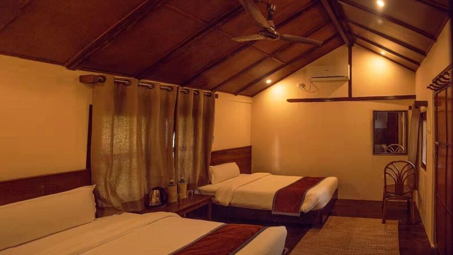 From Kathmandu/Pokhara: Private 3-Day Chitwan Safari Tour - Price and value: is $168 per person a fair deal?
