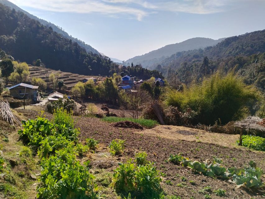 From Pokhara: 4-Day Annapurna and Poon Hill Himalayan Trek - Day 2: Poon Hill Sunrise, Ghorepani Breakfast, and Tadapani’s Slower Rhythm