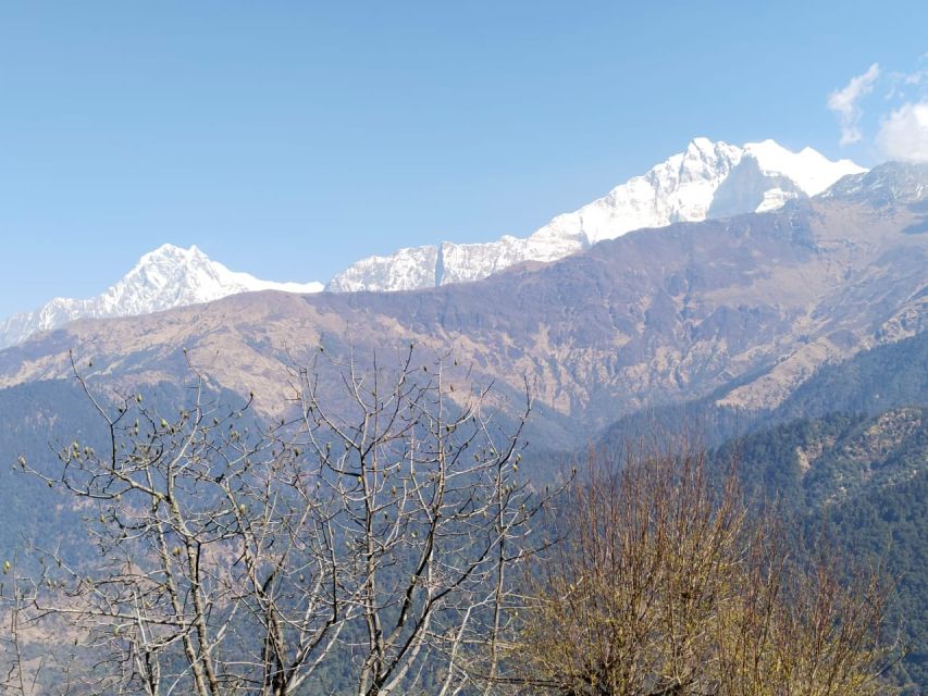 From Pokhara: 4-Day Annapurna and Poon Hill Himalayan Trek - Tea House Days: What You Sleep Like, What You Eat, and How Costs Work