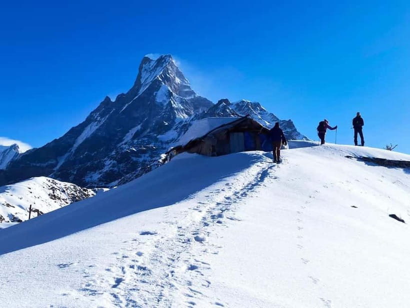 From Pokhara: 4-Day Mardi Himal Base Camp Trek - Forest Camp to High Camp: rhododendron, oak, and the payoff at 3,580m