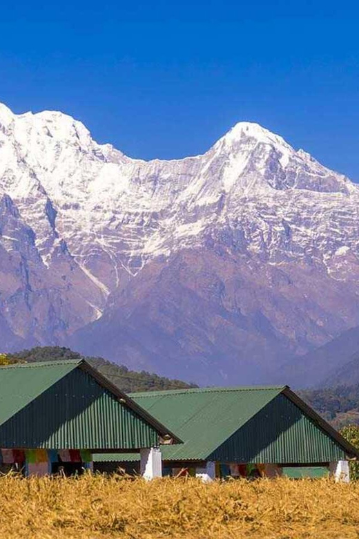 From Pokhara: Annapurna View Day Hike - Should You Book This Pokhara to Australian Camp Day Hike?