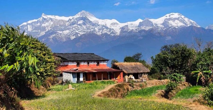 From Pokhara: Annapurna View Day Hike - Australian Camp Viewpoint: Machapuchare, Annapurna South, and Dhaulagiri Panoramas