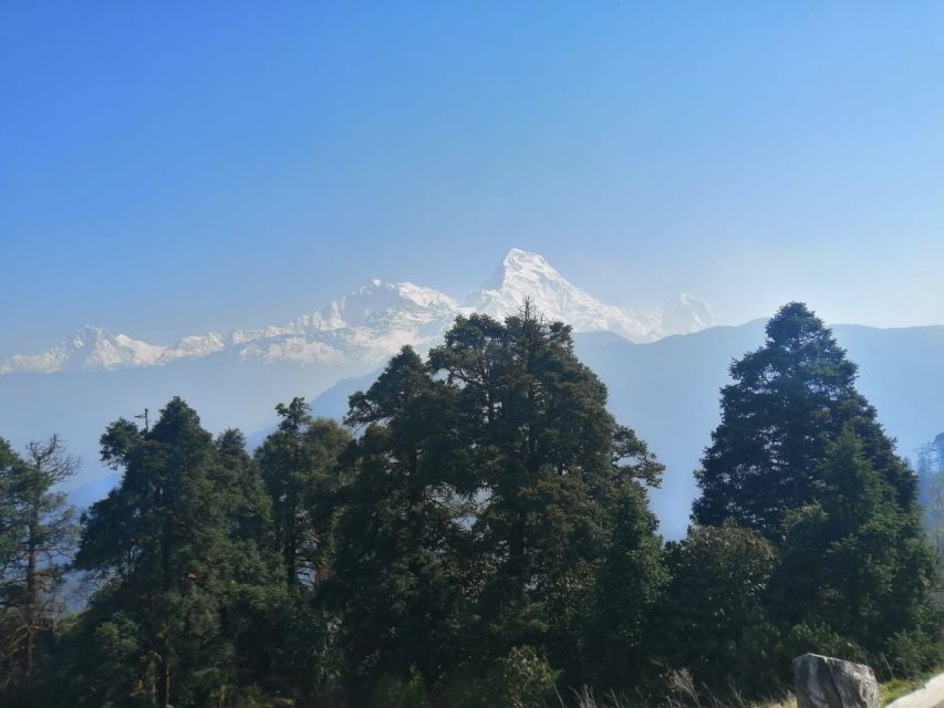 From Pokhara: Budget 2 Night 3 days Poon hill trek - Day 2: Tadapani to Ghorepani and the Rhythm Before Sunrise