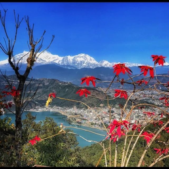 From Pokhara: Guided Day Jungle Hiking Tour with Boat Ride - Why this Pokhara hike-and-boat day works