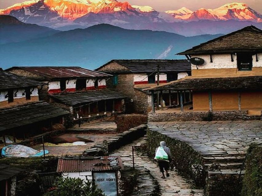 From Pokhara: Guided Tour to Visit 4 Himalayas View Point - Sunrise at Sarangkot, where the day starts with purpose