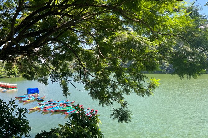 From Pokhara : Hiking to Peace Pagoda via Fewa Lake & Jungle - Stop 1 at Phewa Tal: the lake, the forest edge, and your boat ride