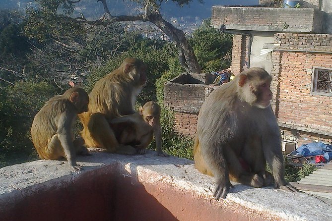 Full Day Kathmandu City Sightseeing Tour of UNESCO Heritage Sites - Patan City of Arts: Krishna Mandir, Bhimsen Temple, and Taleju Bhawani Temple