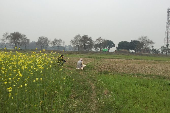 Full Day Lumbini Tour - Monasteries by different cultures, and the meaning behind the variety