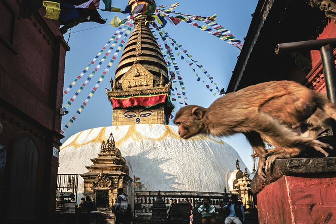 Full Day Private Tour of Kathmandu - UNESCO World Heritage Sites - Why this private UNESCO day makes sense in Kathmandu