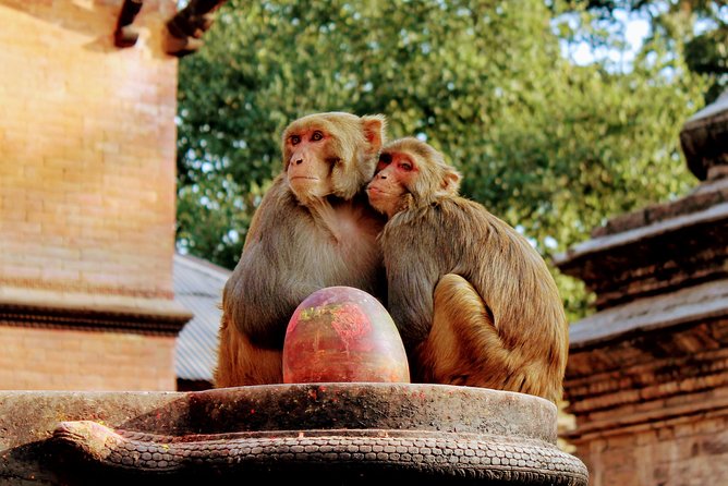 Full Day Private Tour of Kathmandu - UNESCO World Heritage Sites - Pashupatinath on the Bagmati River, a Shiva temple with real atmosphere